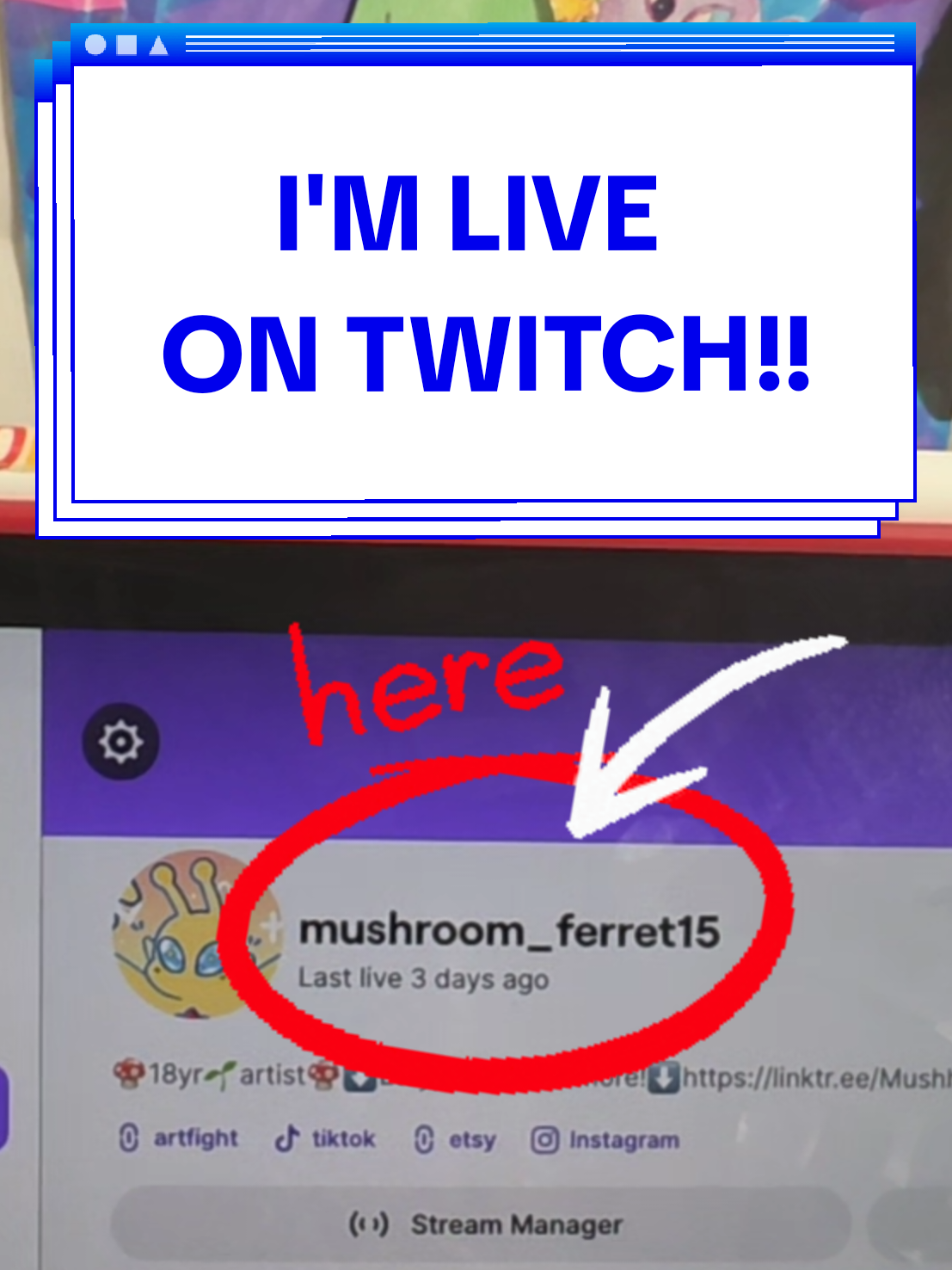 @Mushroom Ferret