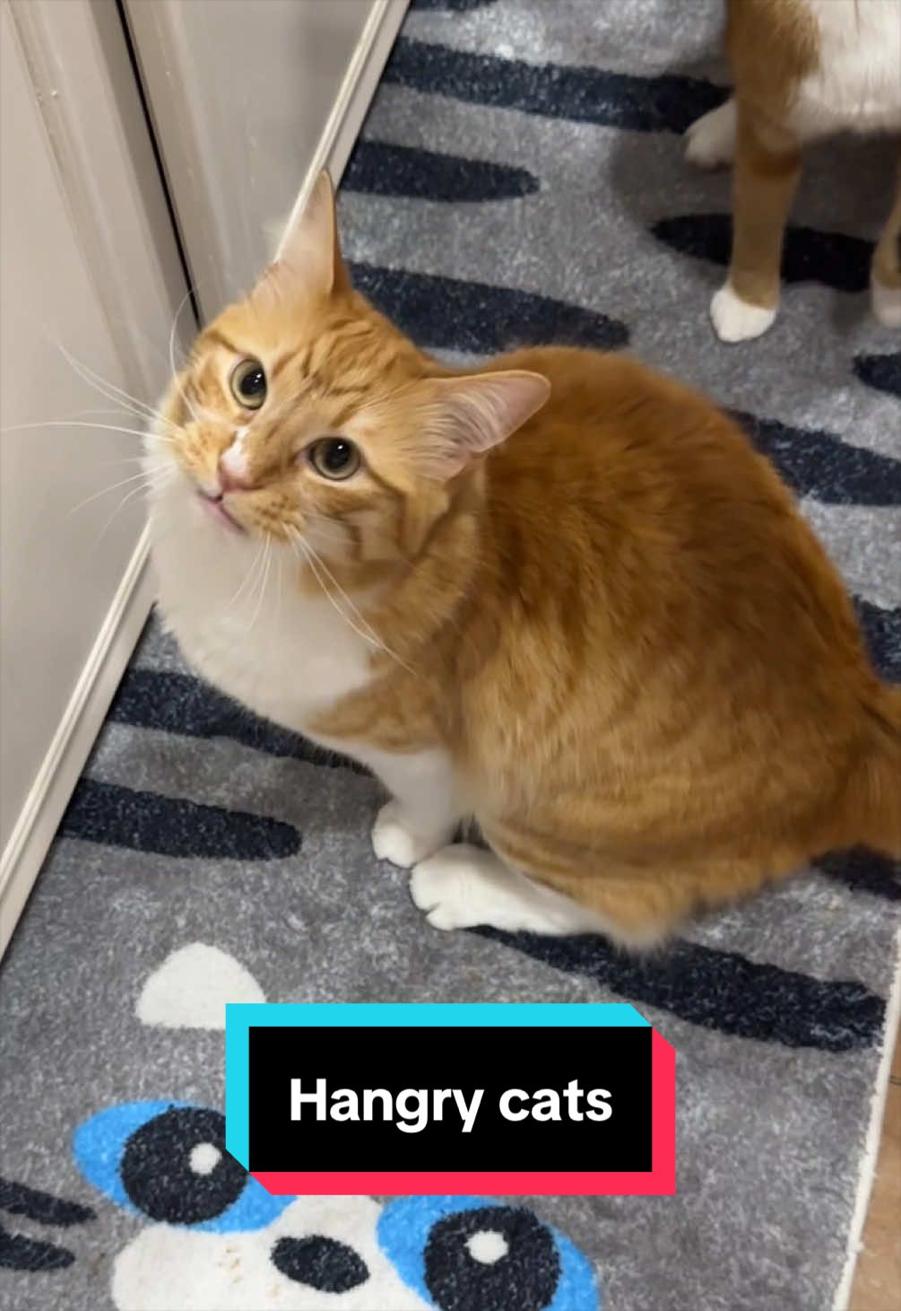 @meloncreamcat
