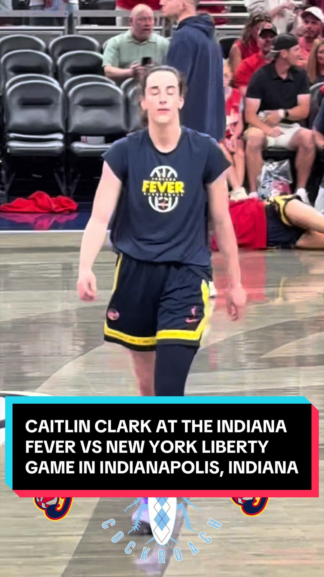 @carolinacockroach