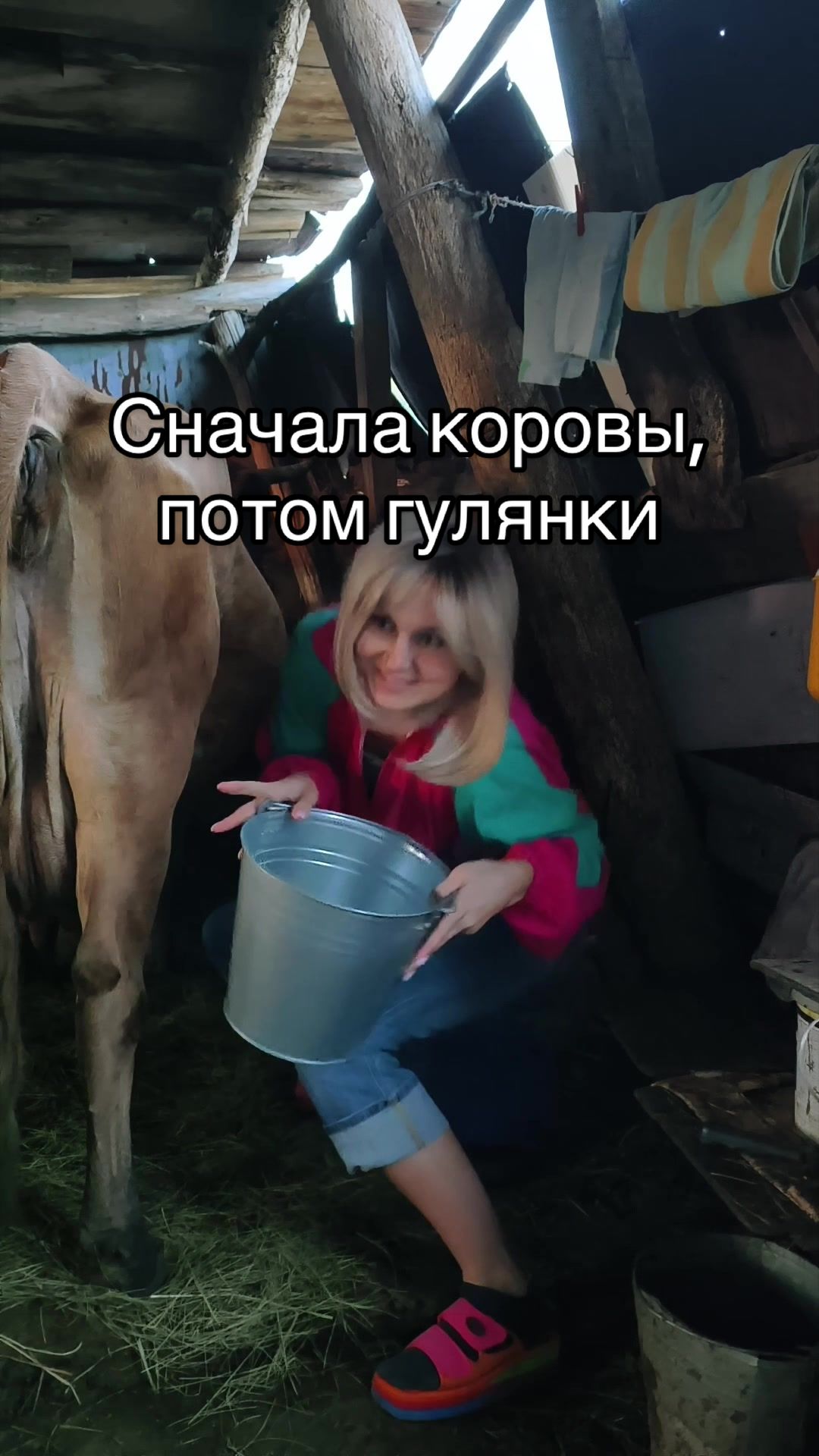 @sa.shunka23