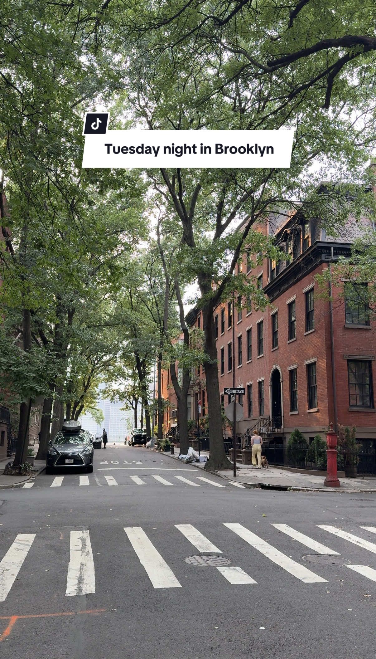 @Cassidy | NYC Living & Travel