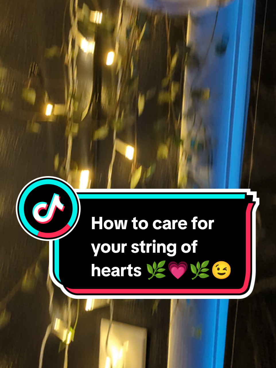 @Amber