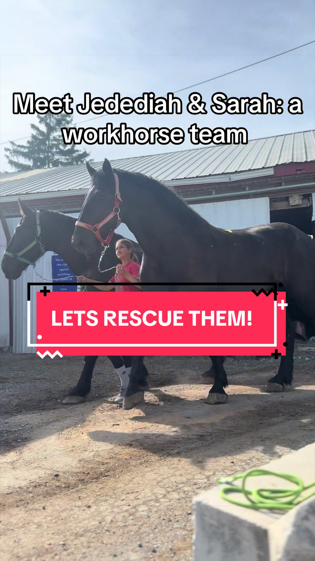 @Colby’s Crew Rescue