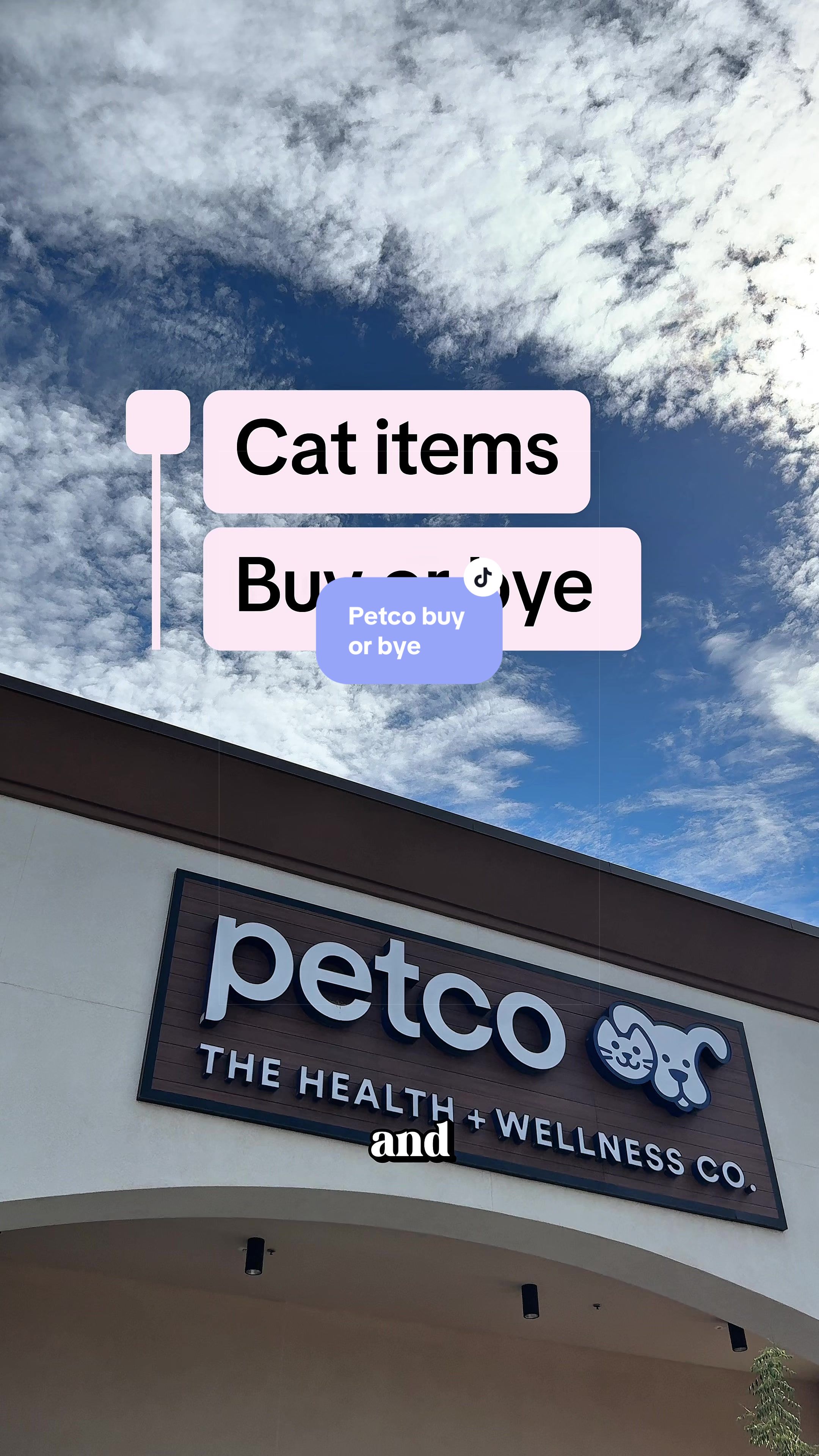 @Feminist Kitty | Cat Nutrition