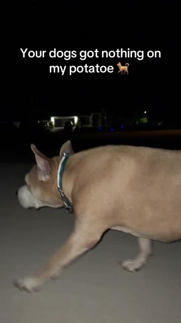 @1Man1Bun