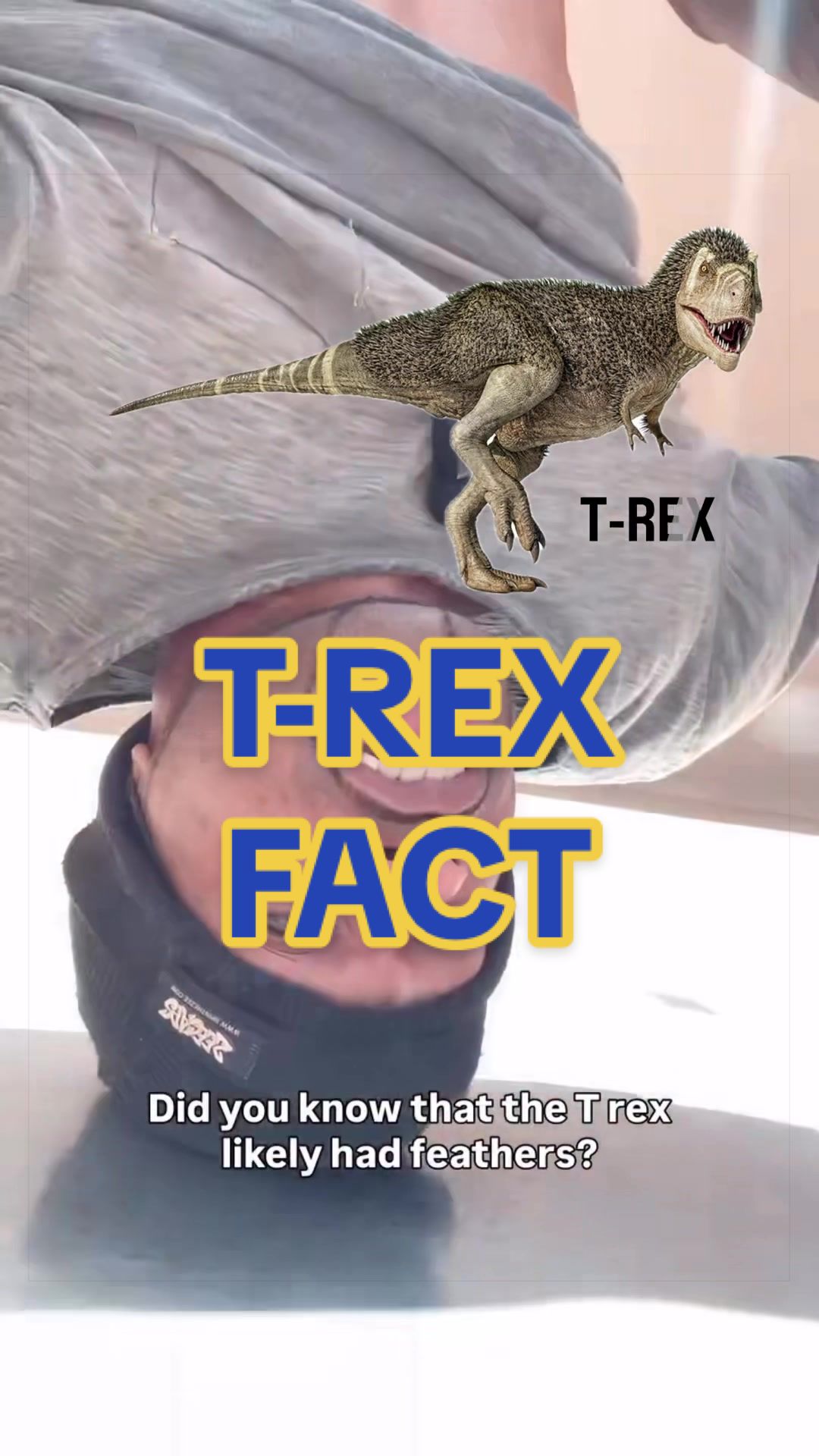 @Headspin Facts