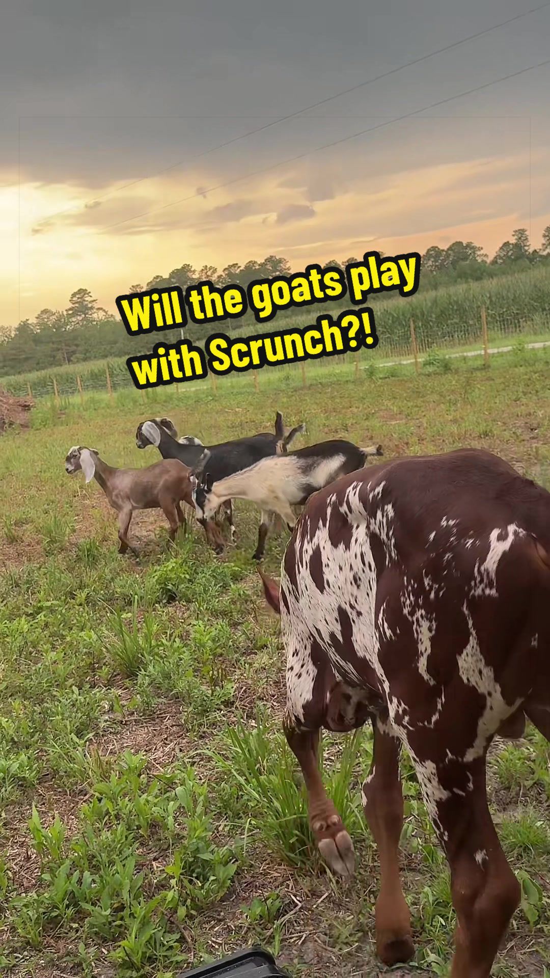 @TwoGuysandSomeLand