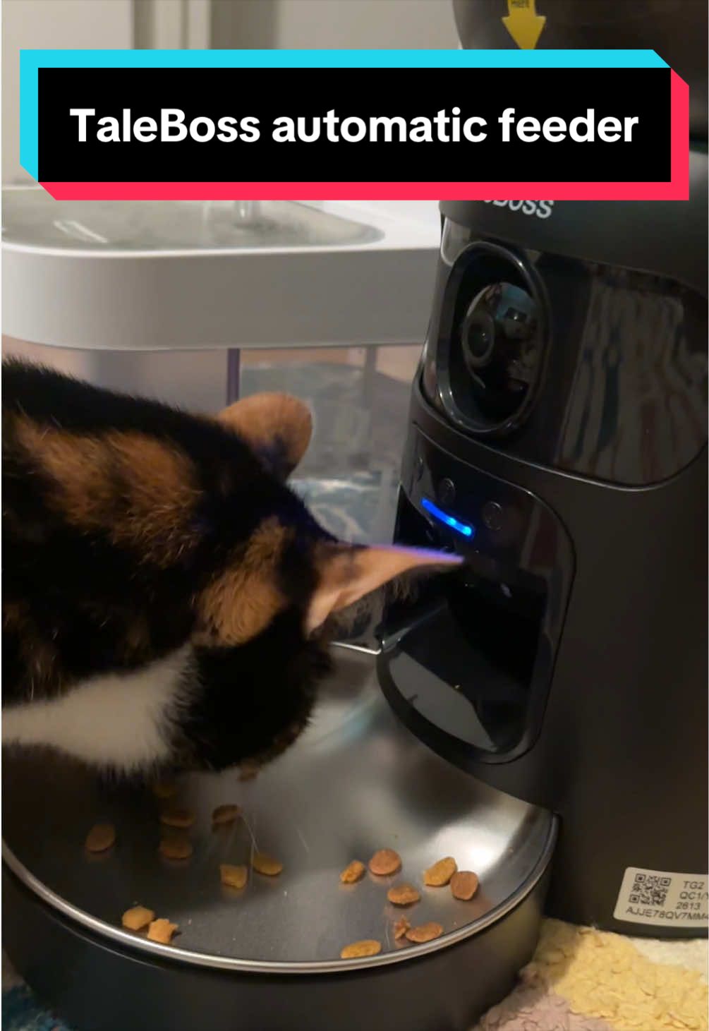 @meloncreamcat
