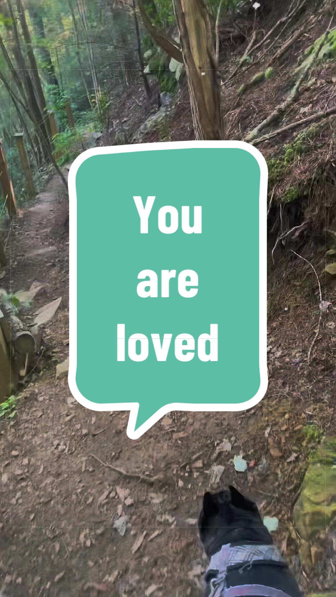 @weneedtohealpodcast