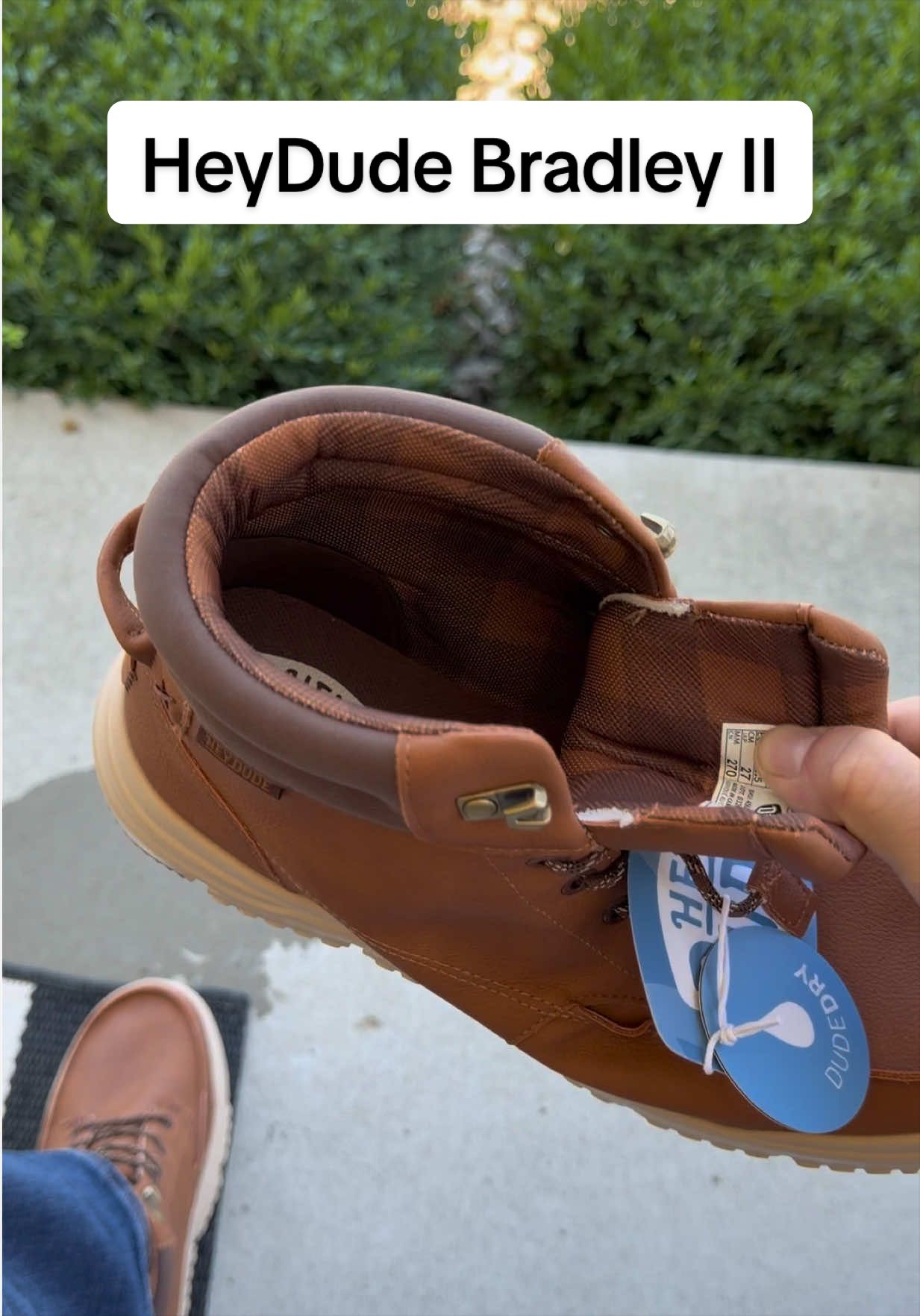 @gav