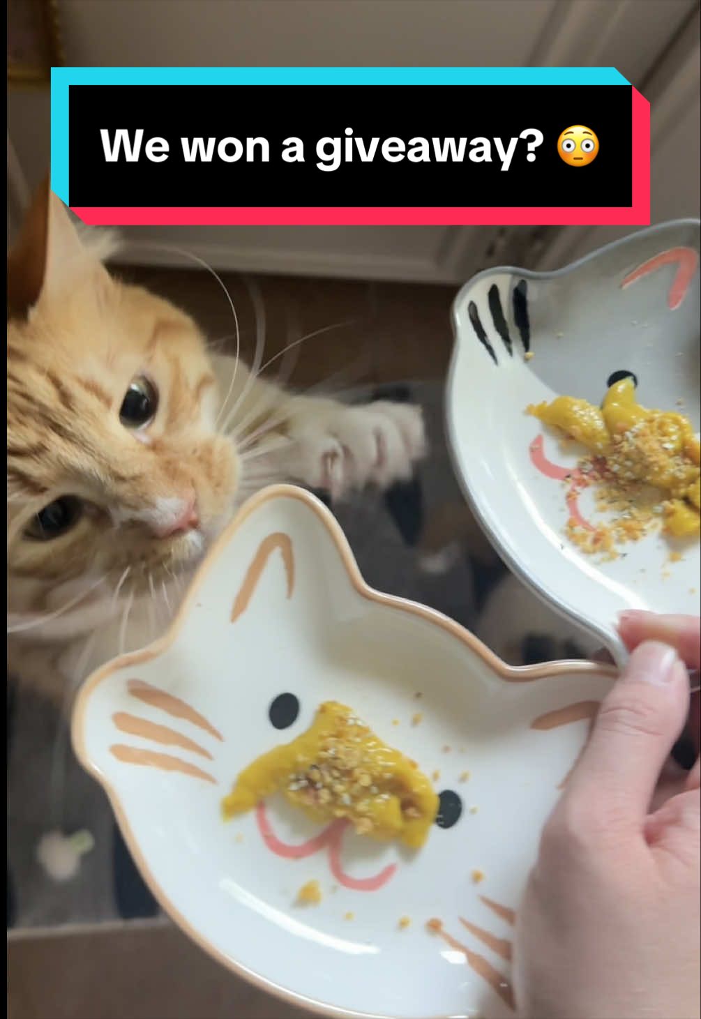 @meloncreamcat