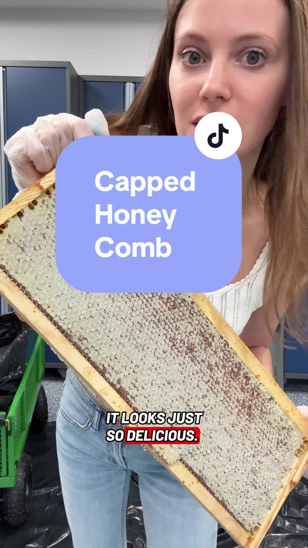 @homewithlogan