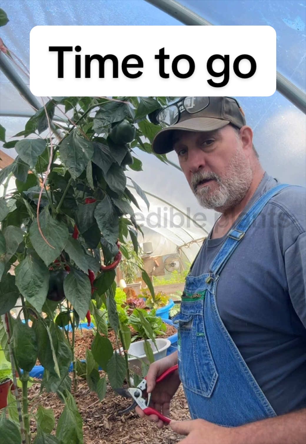 @GROWING_EDIBLE_PLANTS