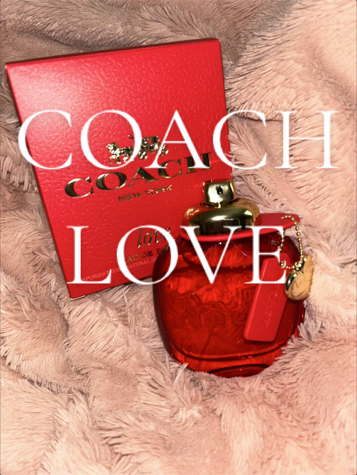@NEOSHA ARIEL | PERFUME+FASHION