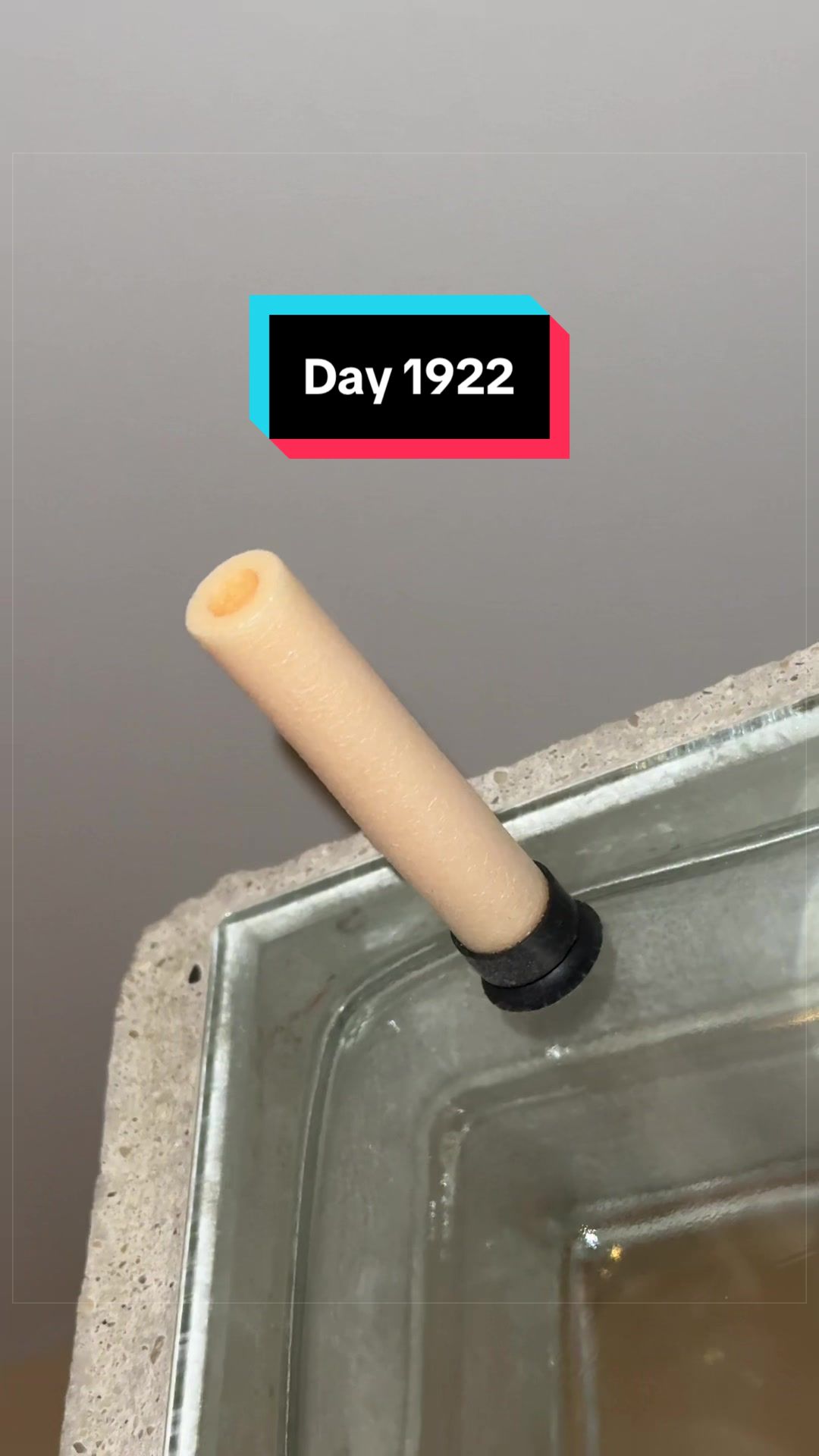 @The Immortal Nerf Dart