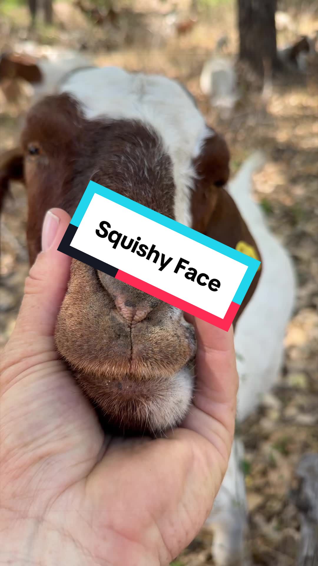 @cowboymax