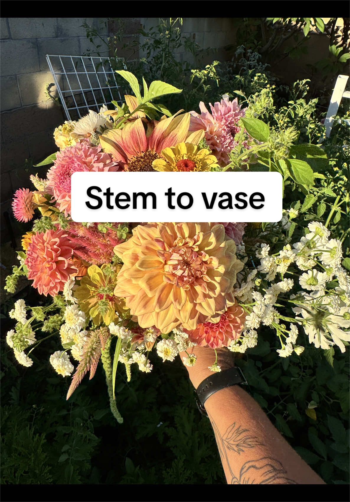 @Rylee’s Blooms
