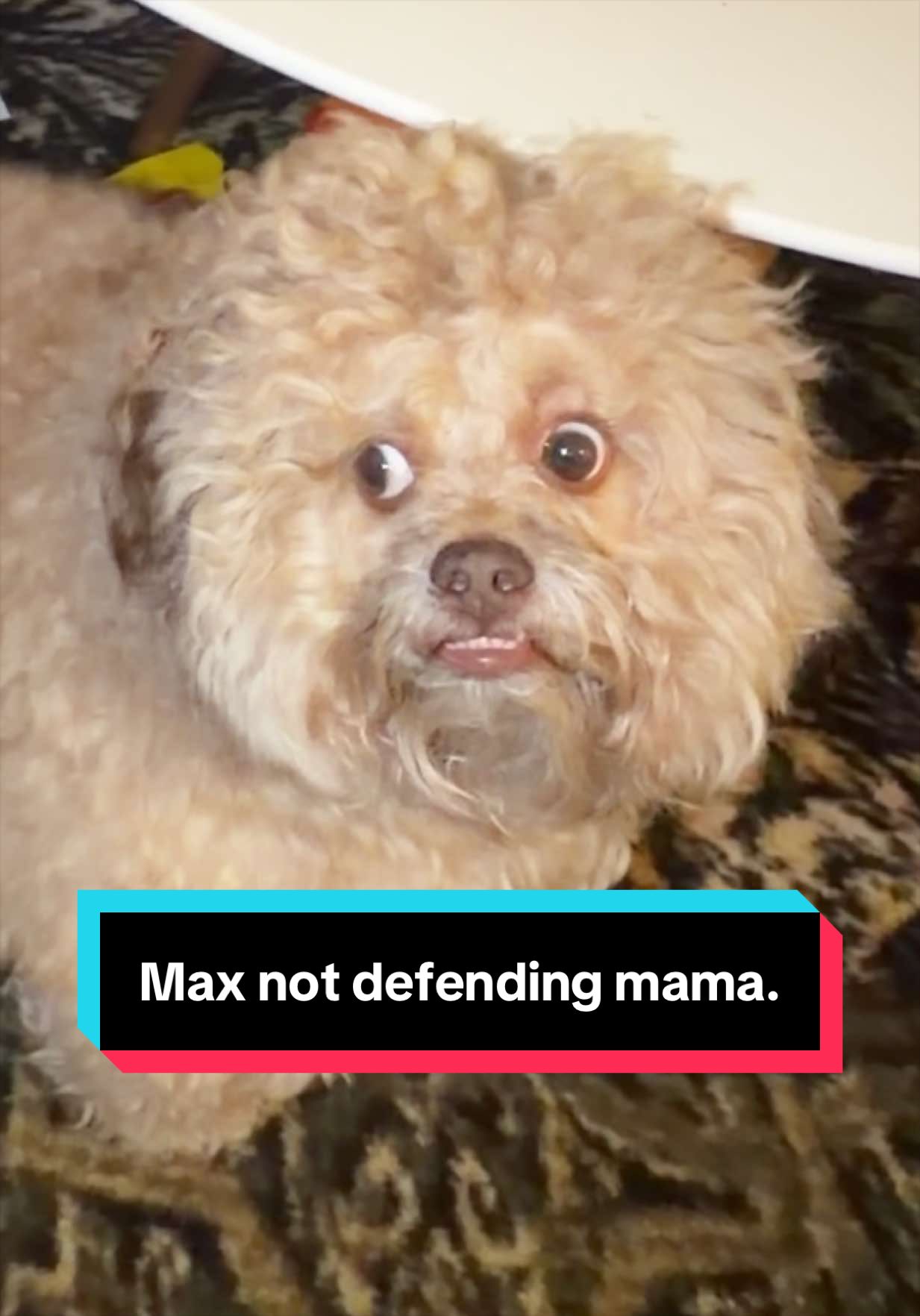 @Lil&rsquo; Max