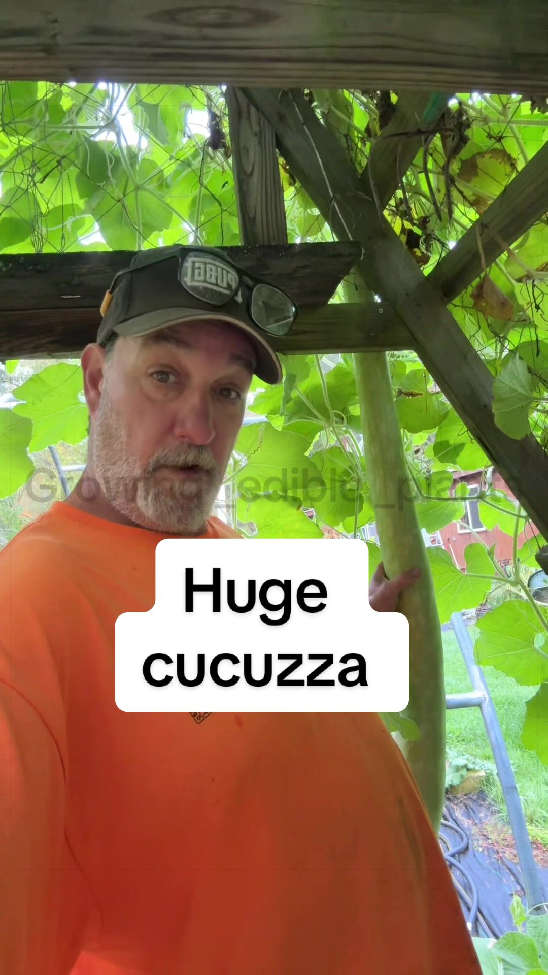 @GROWING_EDIBLE_PLANTS