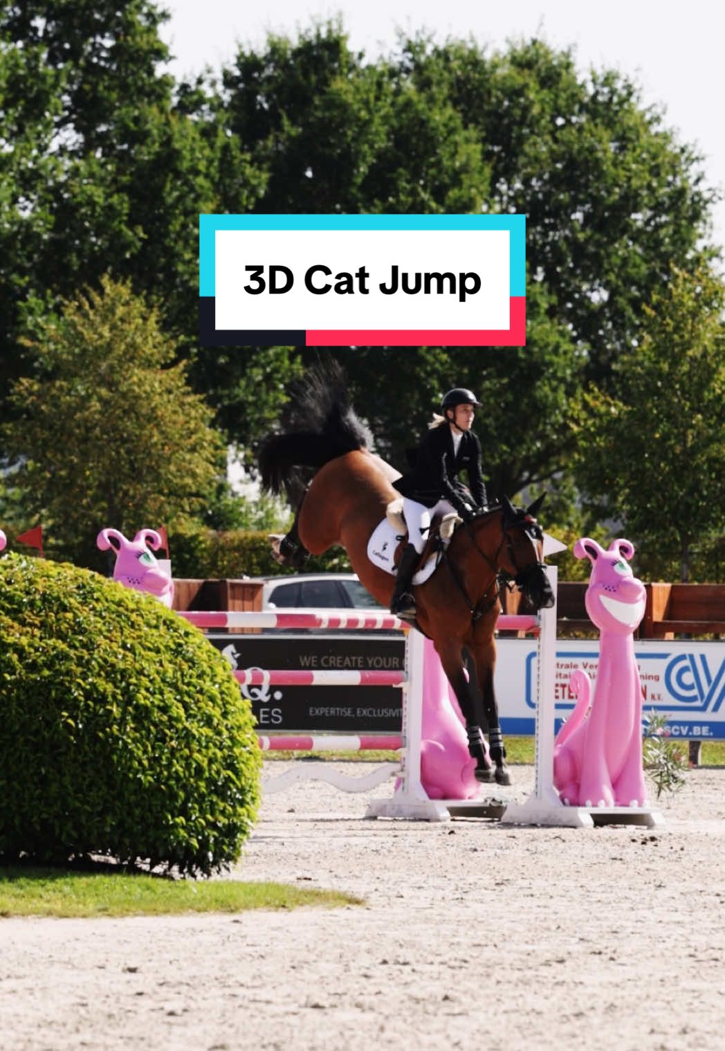 @Dalman Jump Co