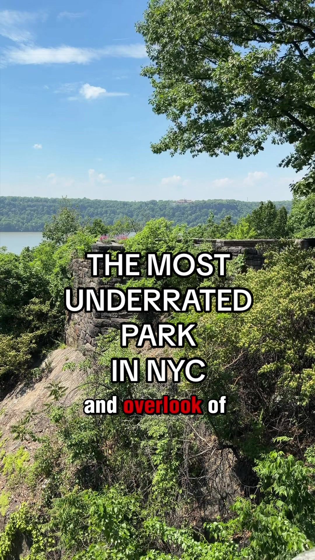 @jeffreyinnyc