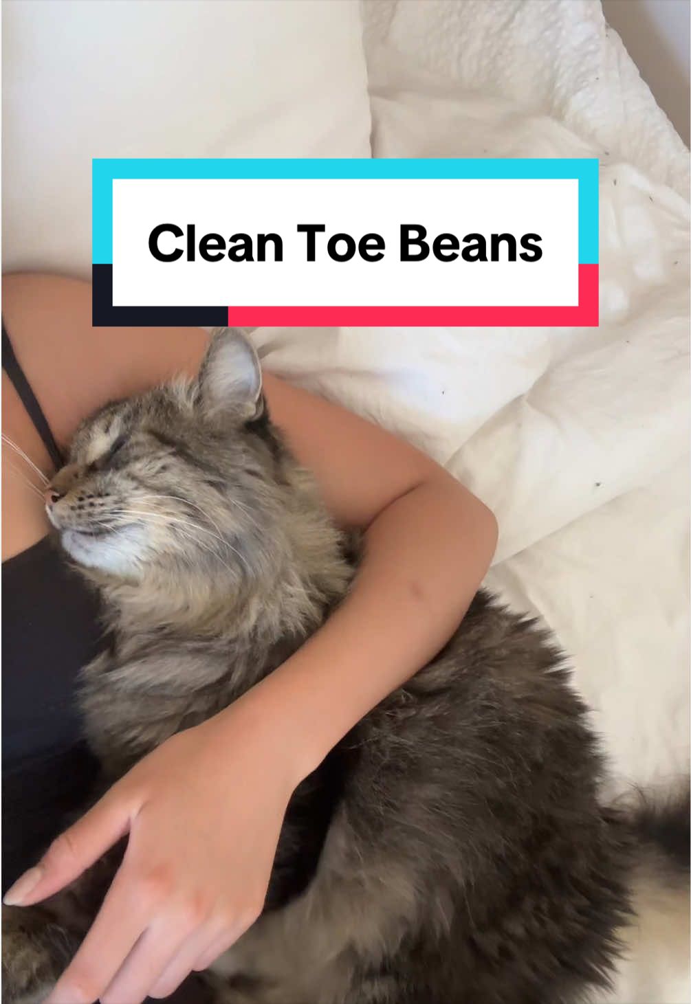 @Tuft & Paw