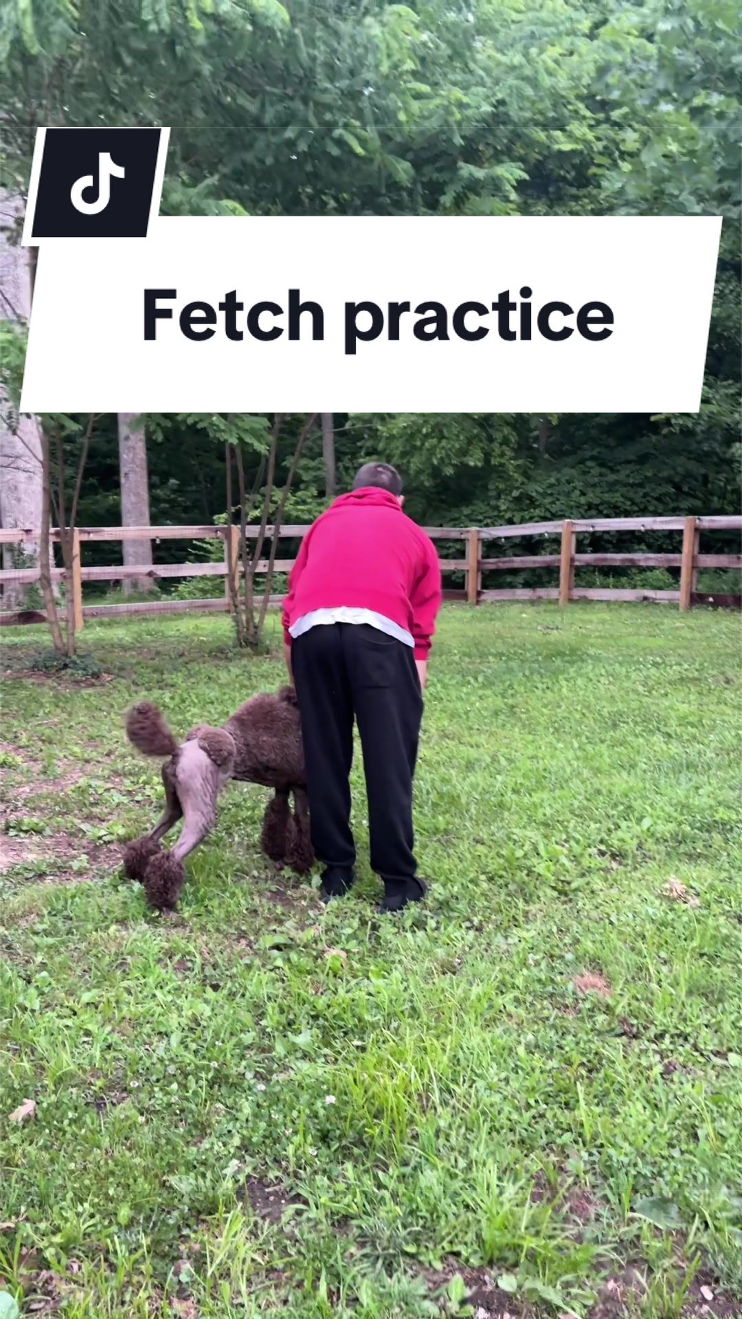 @Maddie, Jovie & Nessie🤍🤎🐩