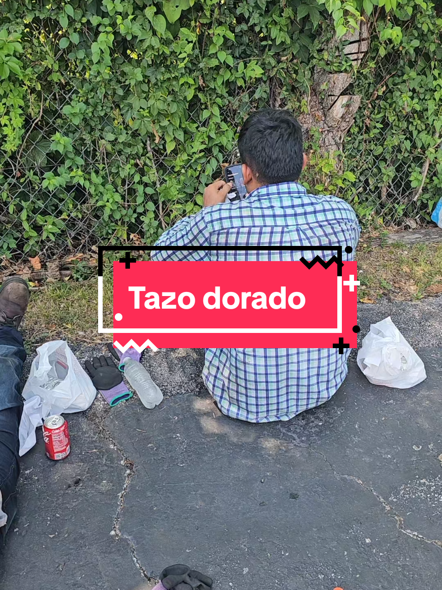 @ElpapideLospollitos