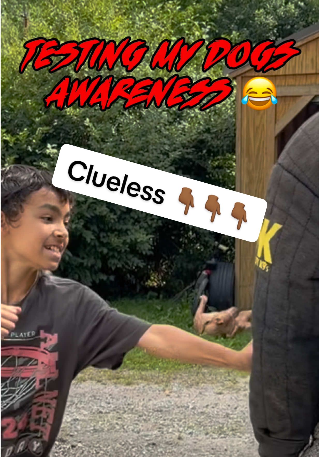 @DarkDynastyK9s