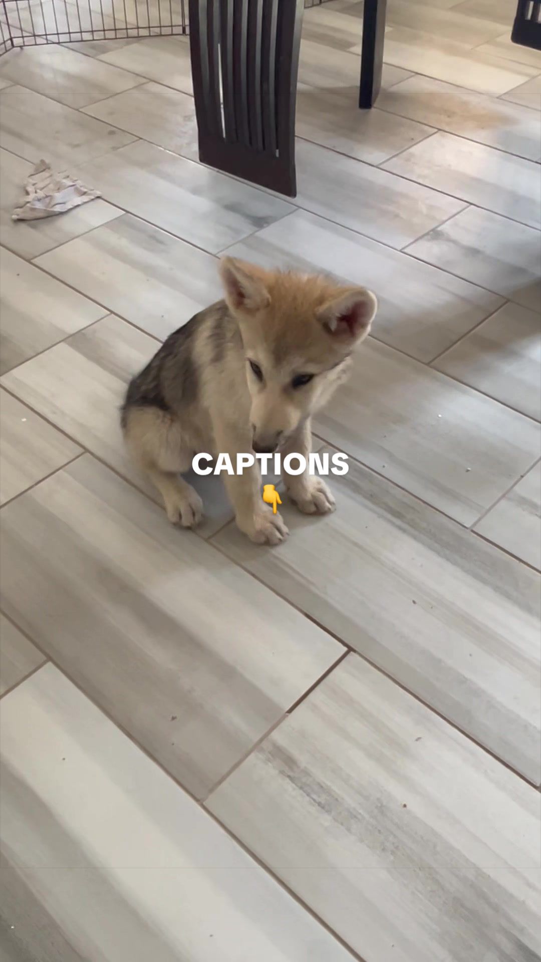 @KeeperOfTheWolves