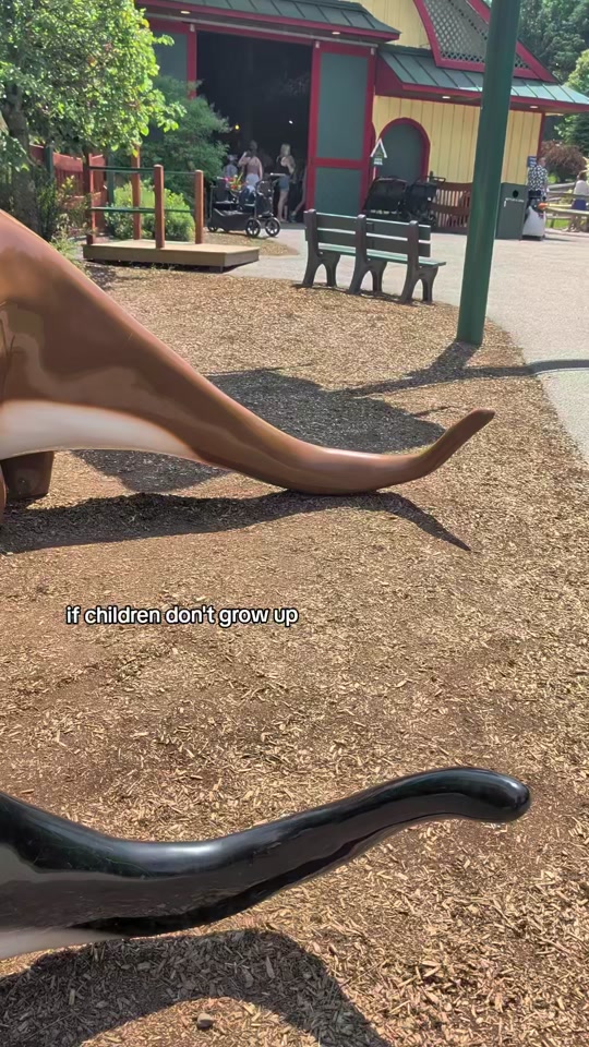 @meg