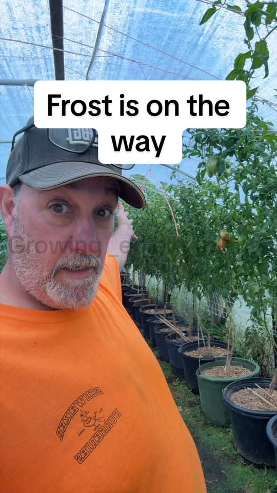 @GROWING_EDIBLE_PLANTS