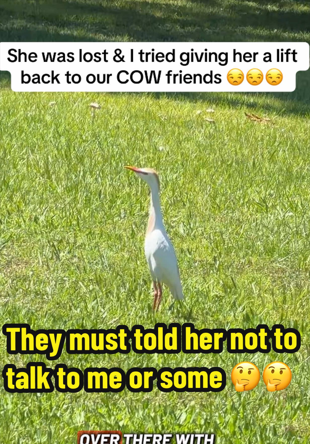 @bossdvincii