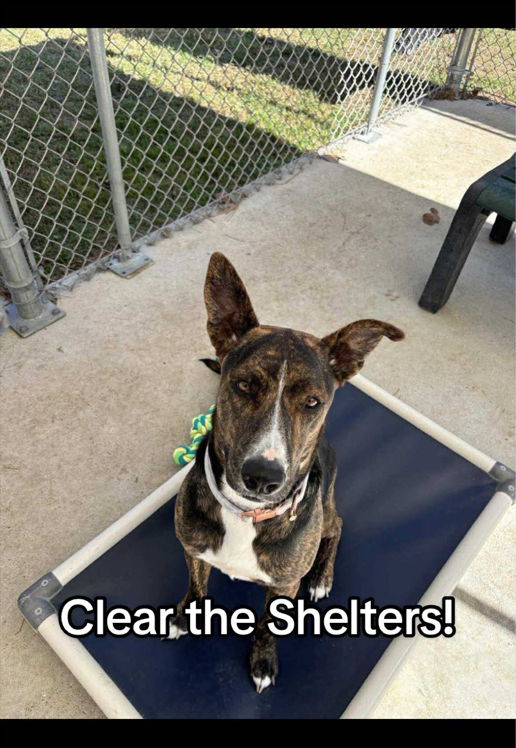 @Corridor Rescue Inc.
