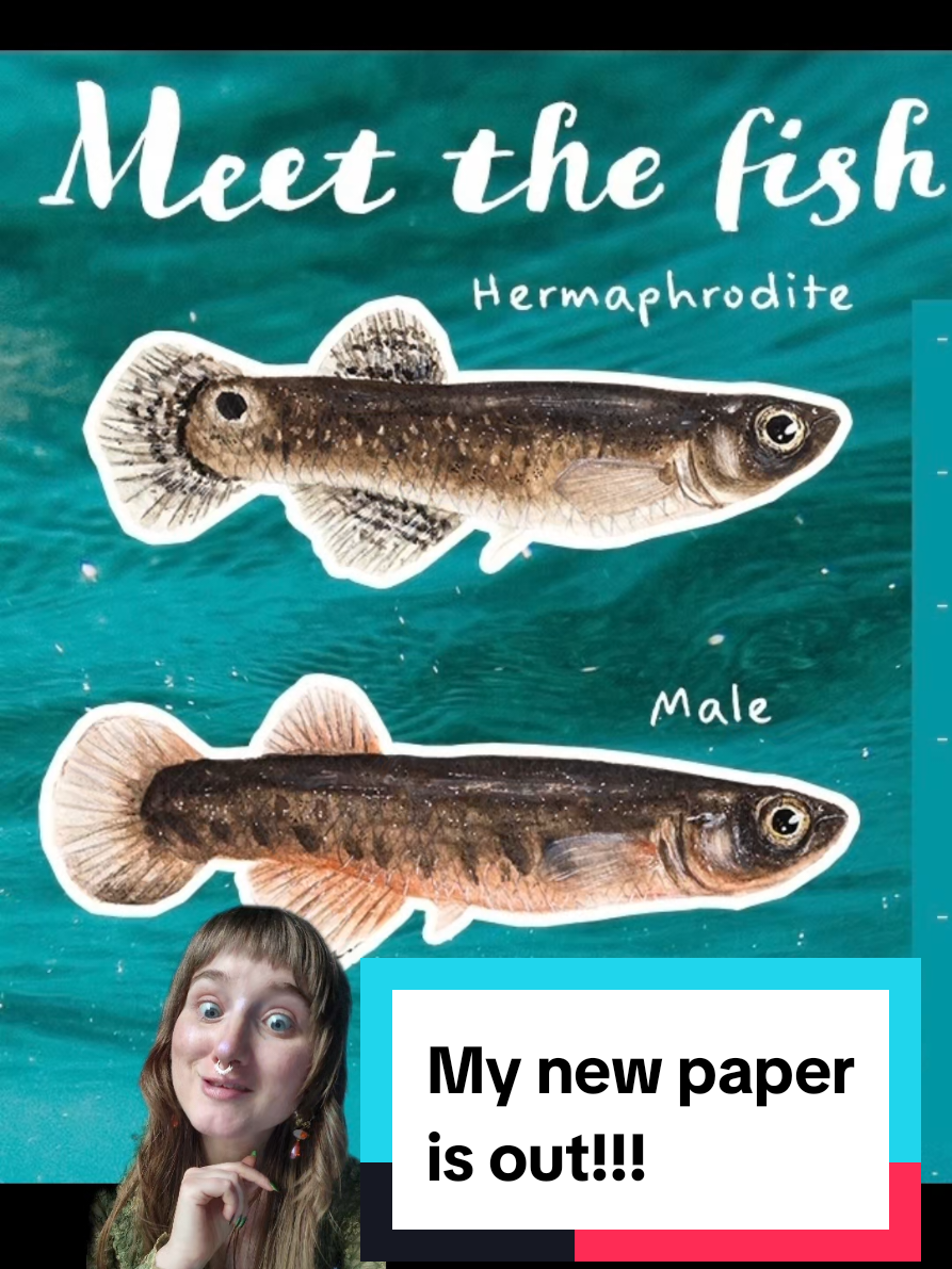 @Brooke Fitzwater, PhD