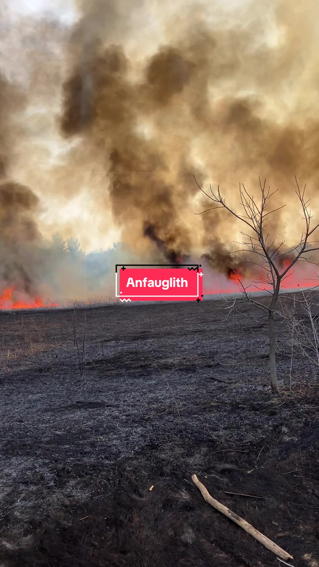 @Mithgond ᚠ