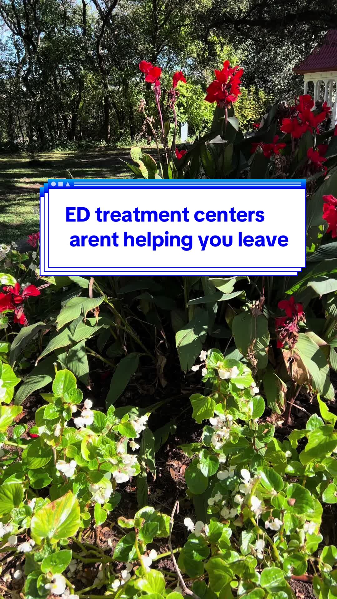 @Lindsay ✨ ED Coach Expert