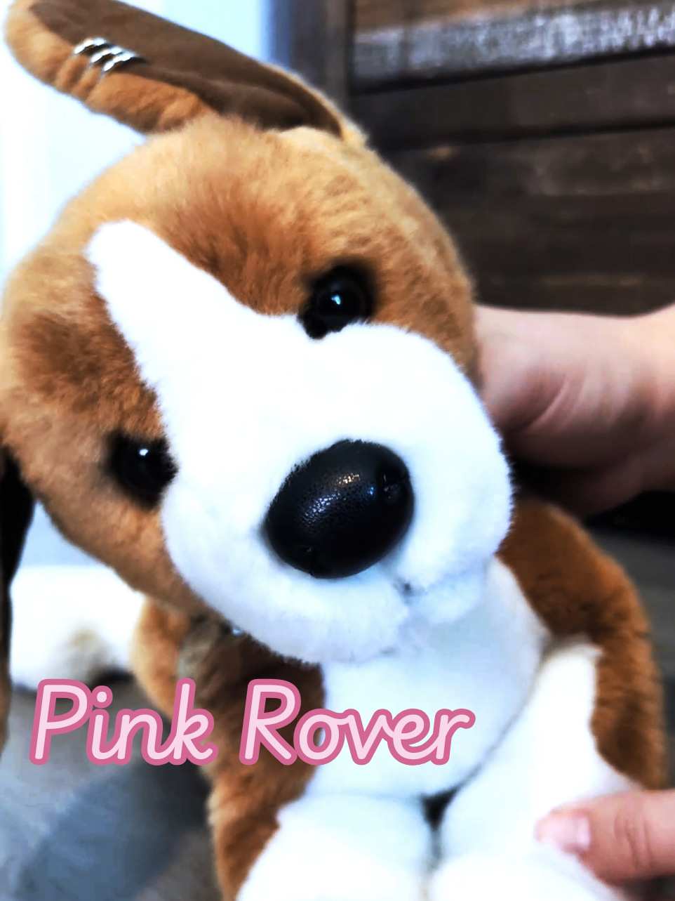 @Pinkie