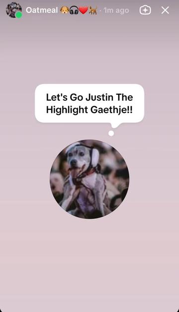 @Oatmeal 🐶🎧❤️🐕