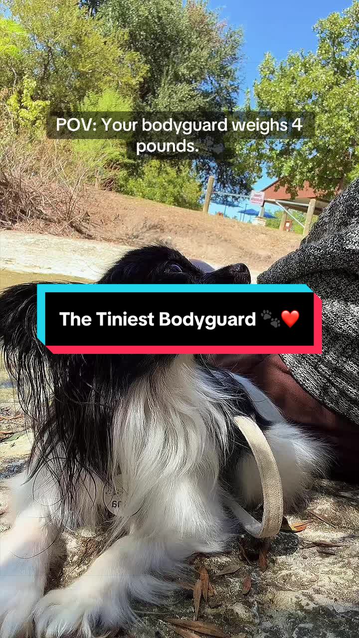 @TheLittleLunaBean
