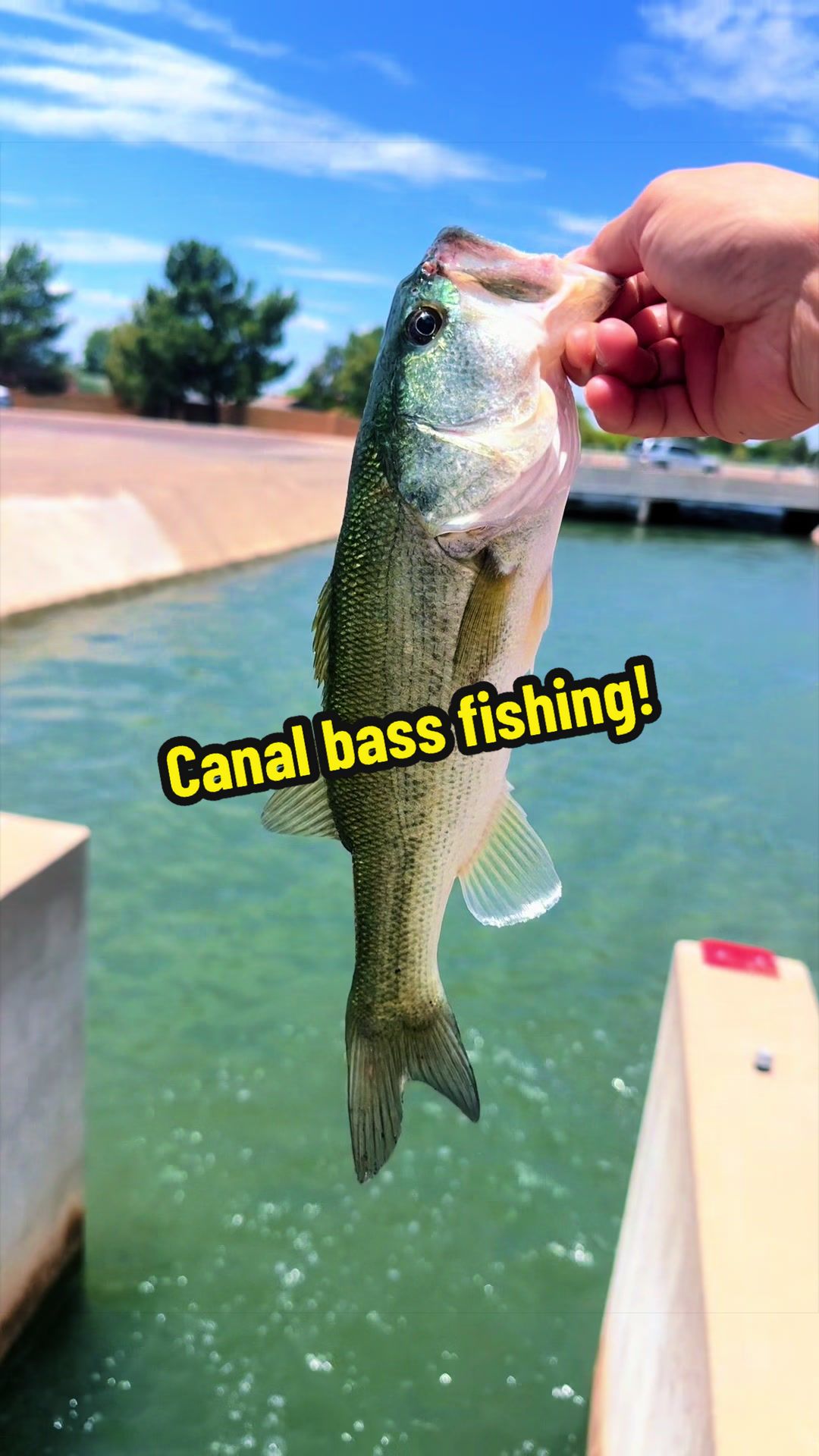 @Luu Nguyen Fishing