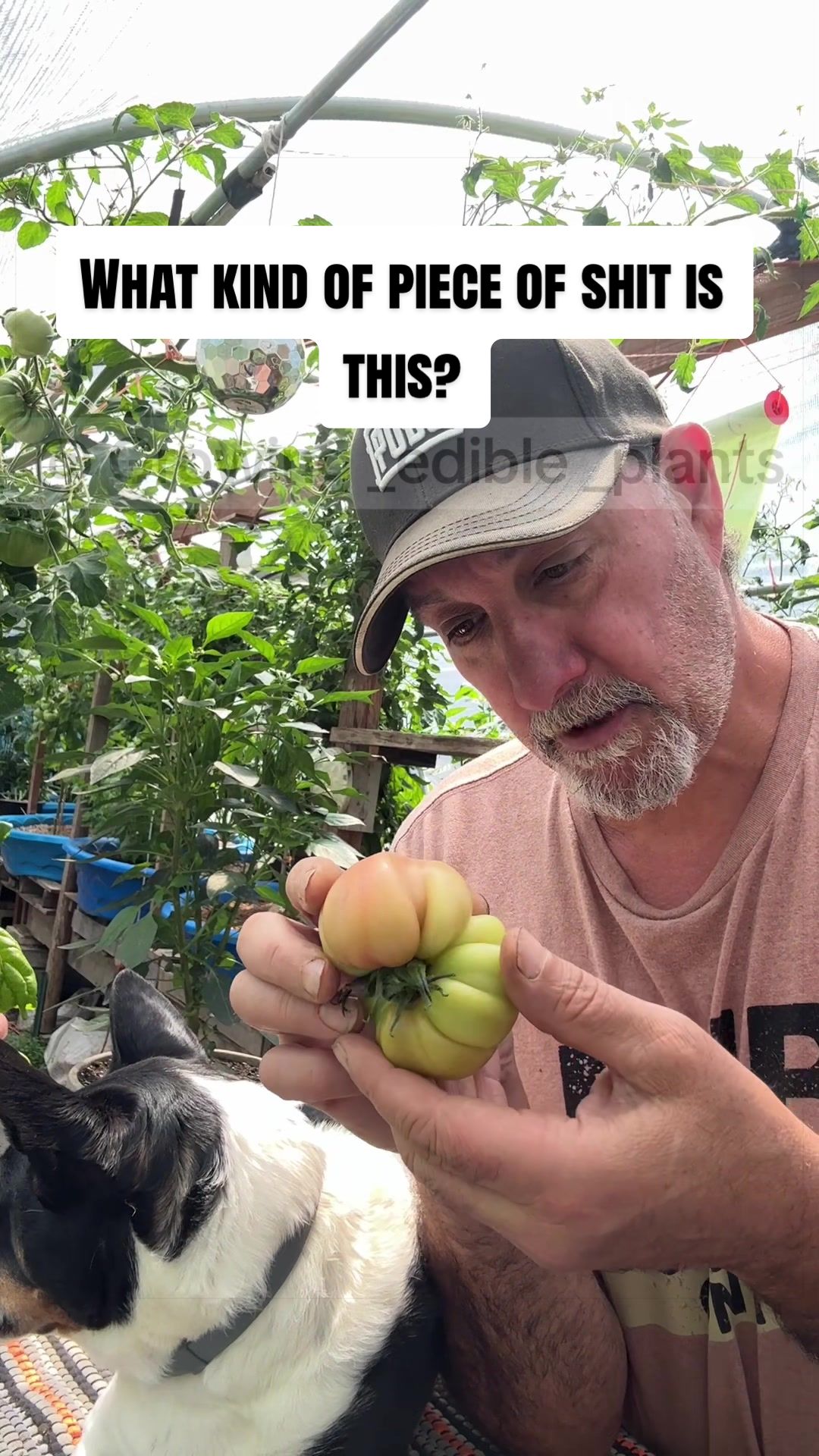 @GROWING_EDIBLE_PLANTS
