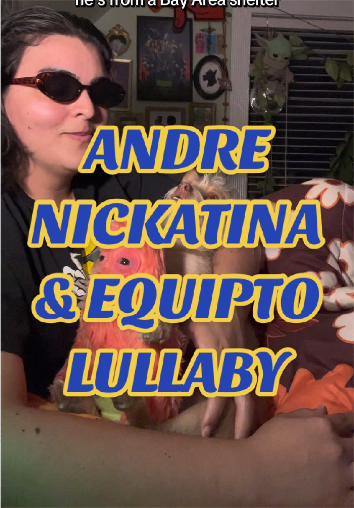 @What’s New Sunny-Doo?