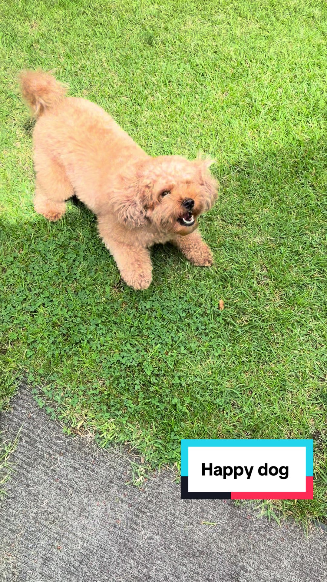 @PattyLove BabyNova 🐾🎀🥰