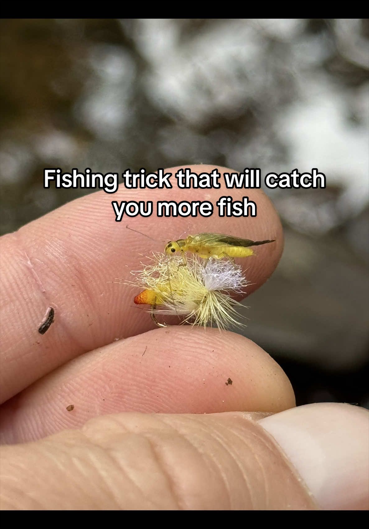 @FlyFishDelawhere