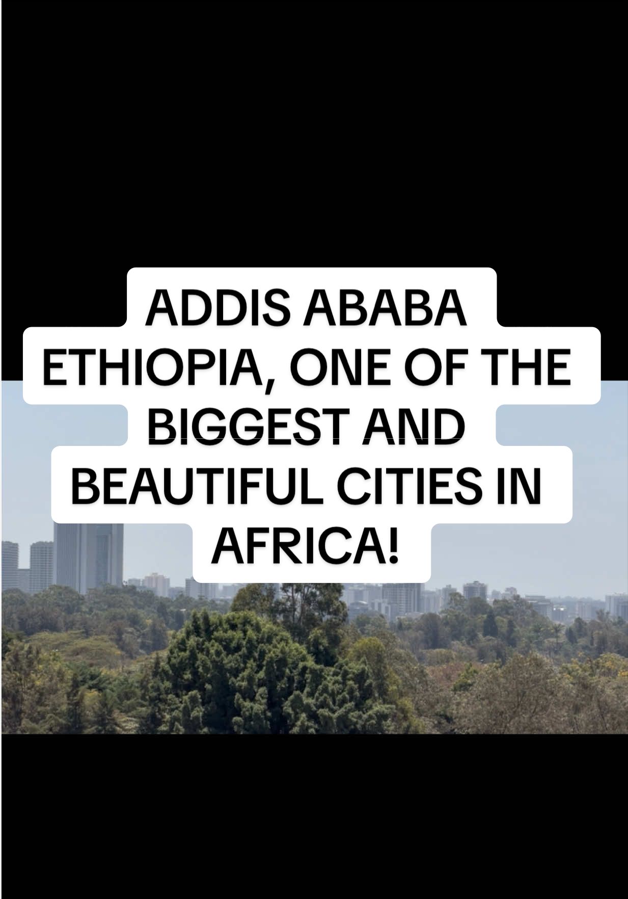 @AFRICA THE MOTHERLAND