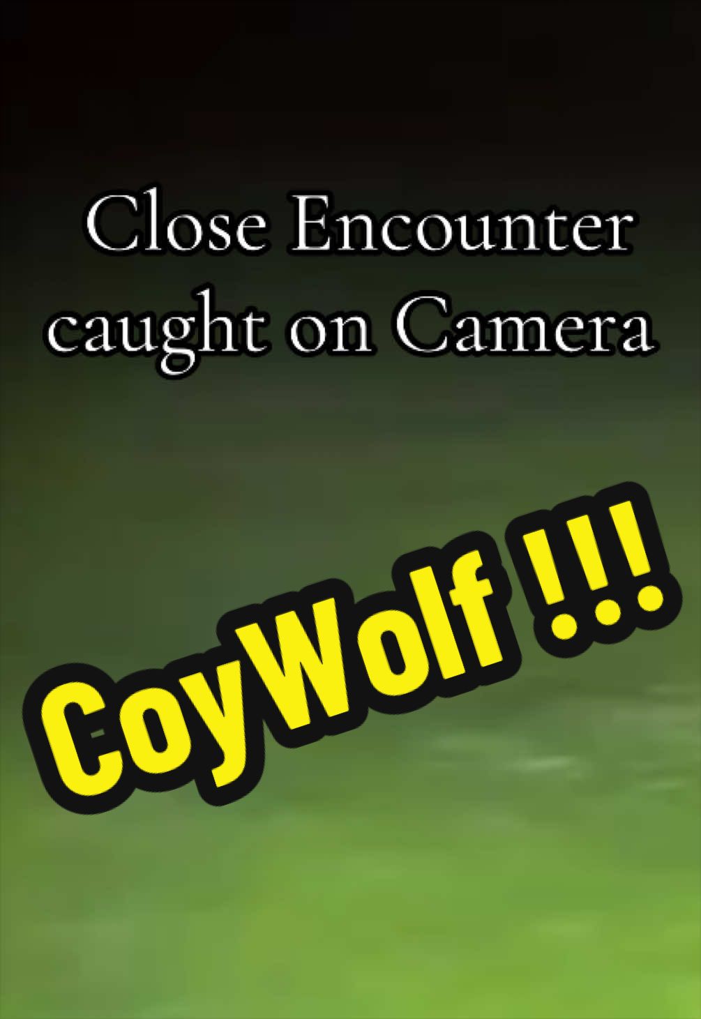 @i_am_not_Ayydot