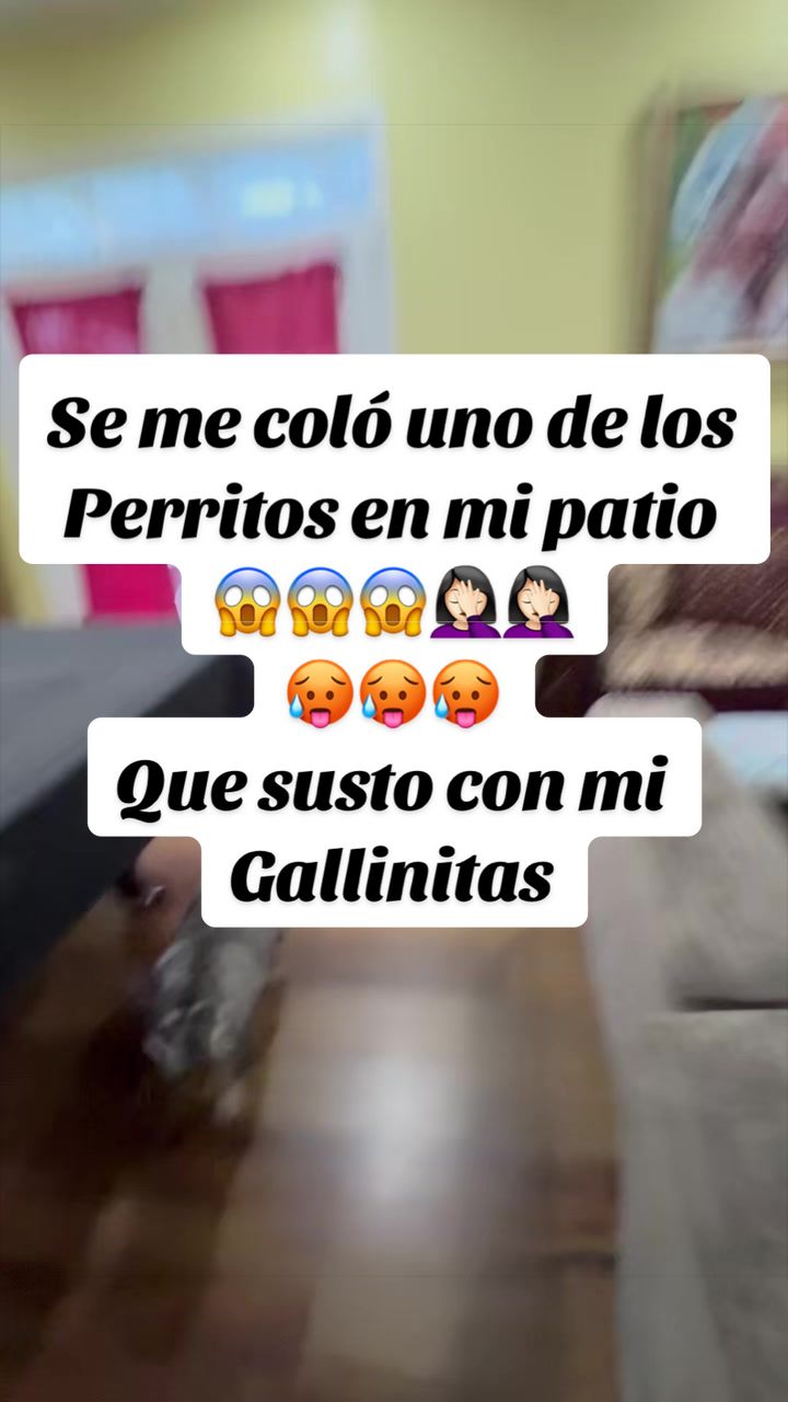 @Elianne Martinez
