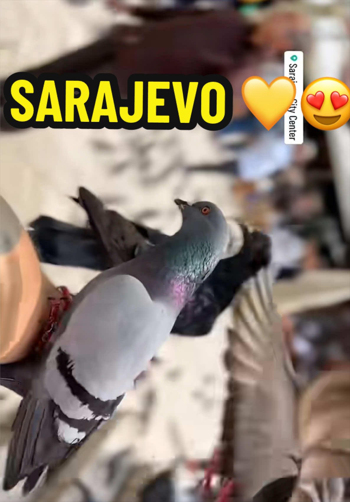 @MrEuropean