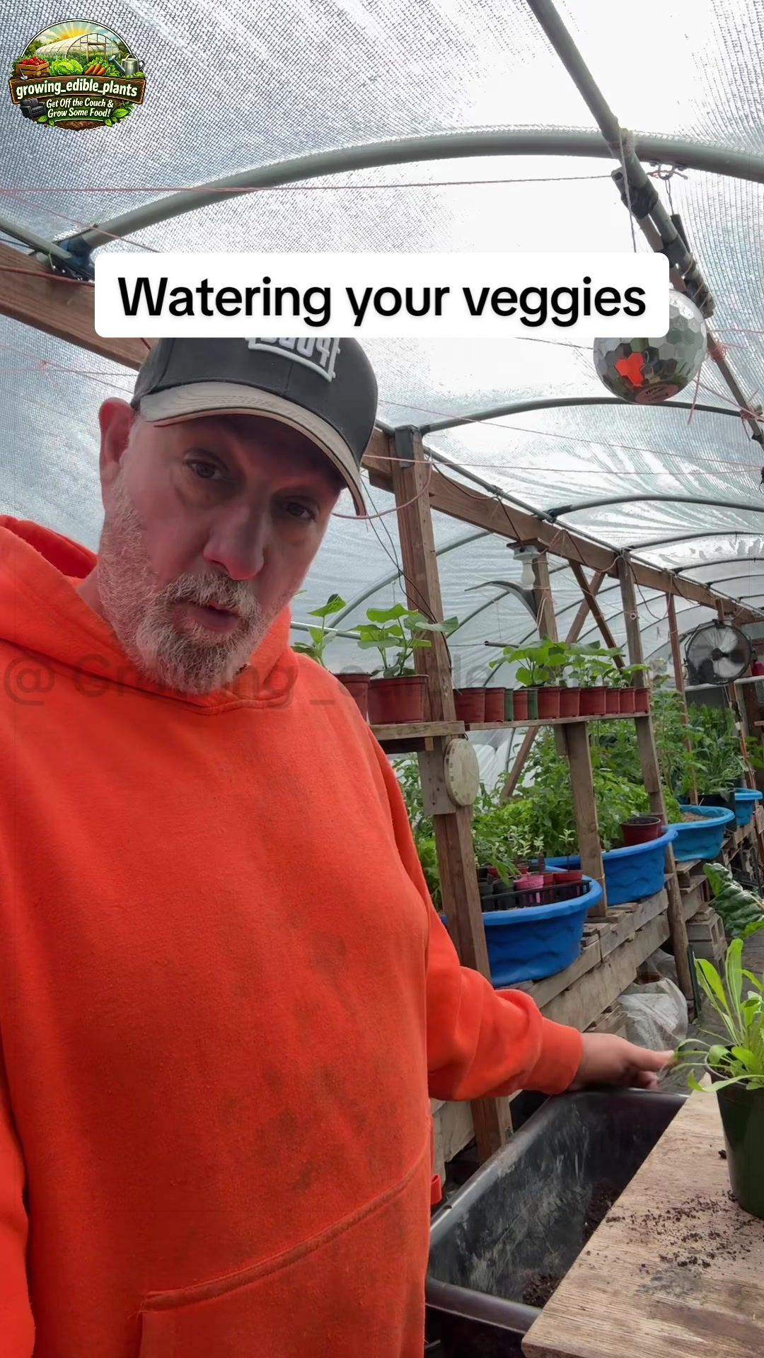 @GROWING_EDIBLE_PLANTS